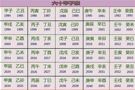 2029年五行|2029年出生是什么命运势如何？什么五行？